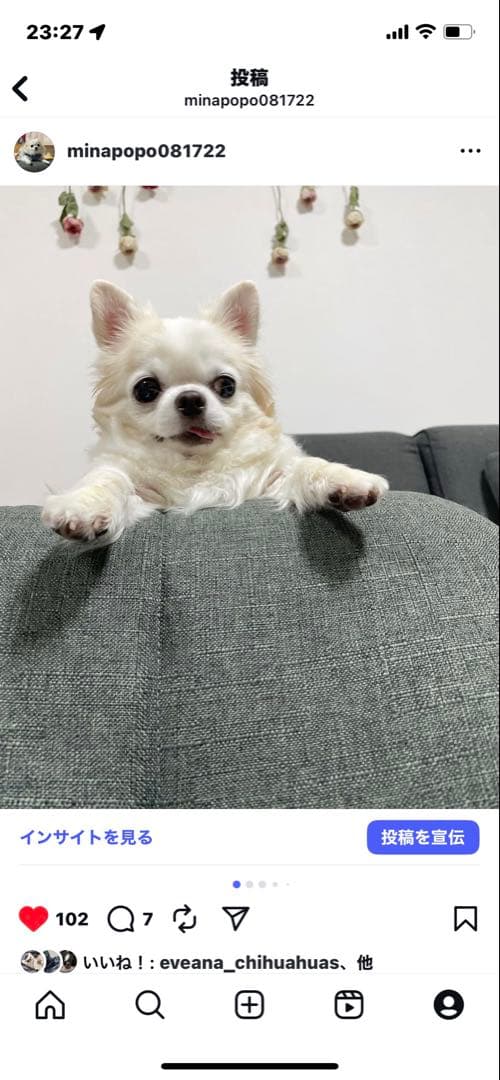 画像確認用　顔2