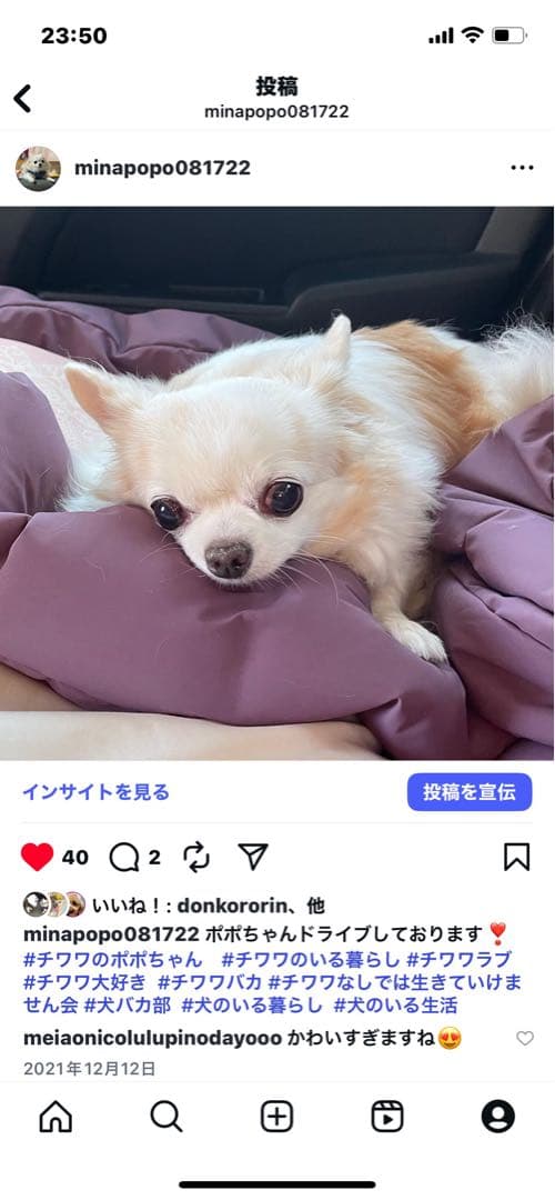 画像確認用　顔2