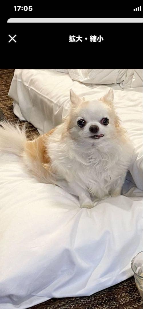 画像確認用　顔2