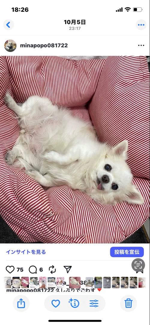 画像確認用　顔2