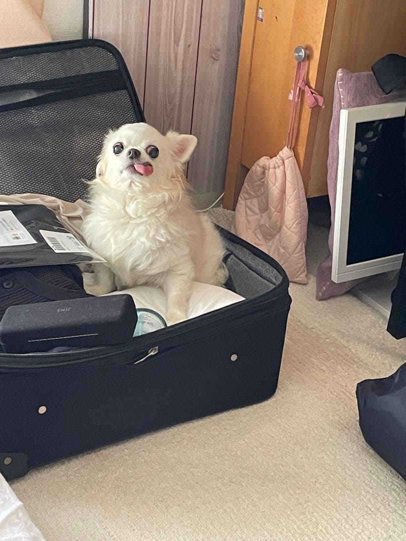 画像確認用　顔2