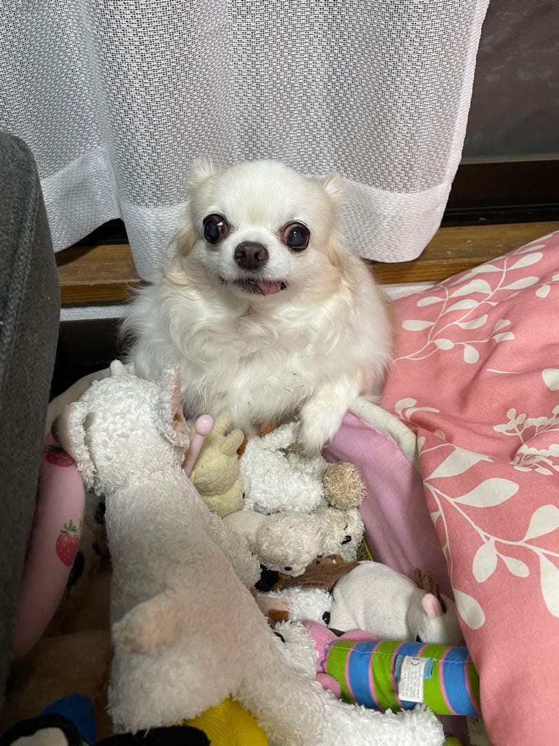 画像確認用　顔2