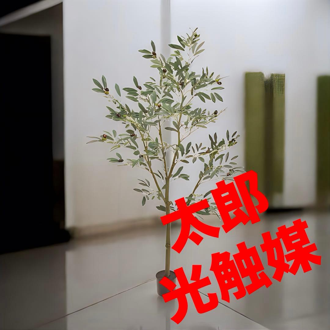 光触媒　人工観葉植物　ウォールグリーン　フェイクグリーン　オリーブポット５Ｆ