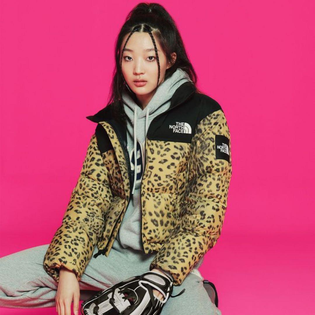 【美品】THE NORTH FACEノベルティ ヌプシ ダウンジャケット