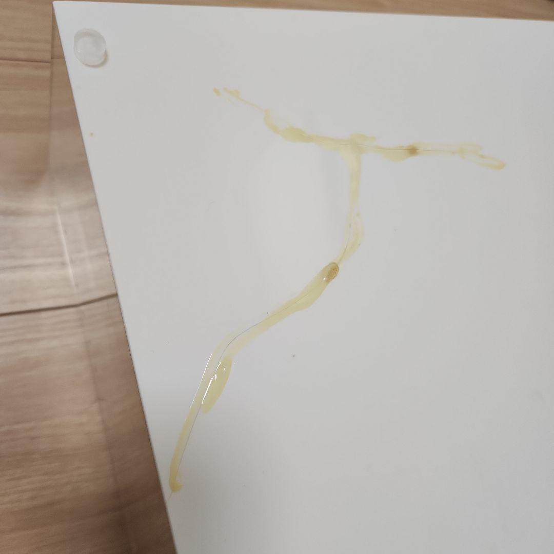 REPTI WILD レプタイルボックス2個 ワイド1個セット　おまけ付き