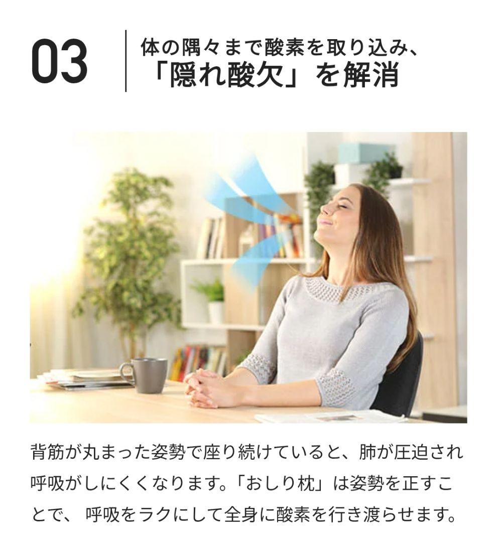 キュアレ　おしり専用枕【CURE:RE OSHIRI MAKURA】