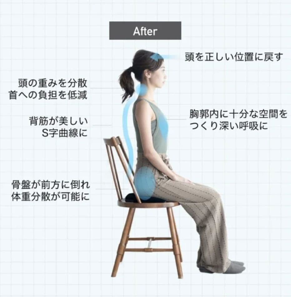 キュアレ　おしり専用枕【CURE:RE OSHIRI MAKURA】