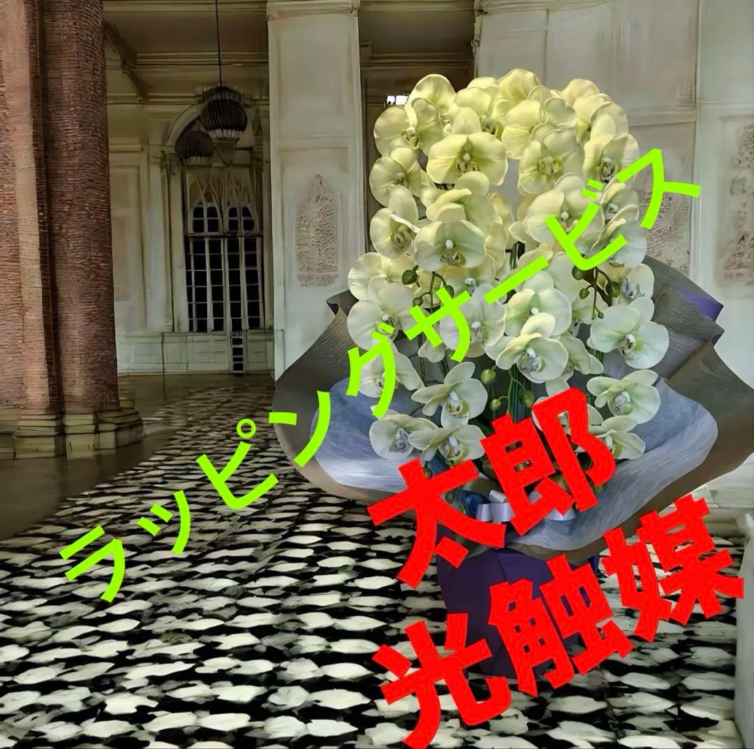 光触媒　人工観葉植物　ウォールグリーン　フェイクグリーン　リアル胡蝶蘭8755