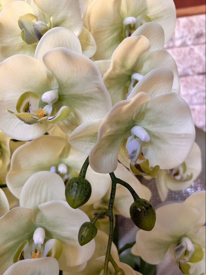 光触媒　人工観葉植物　ウォールグリーン　フェイクグリーン　リアル胡蝶蘭8755