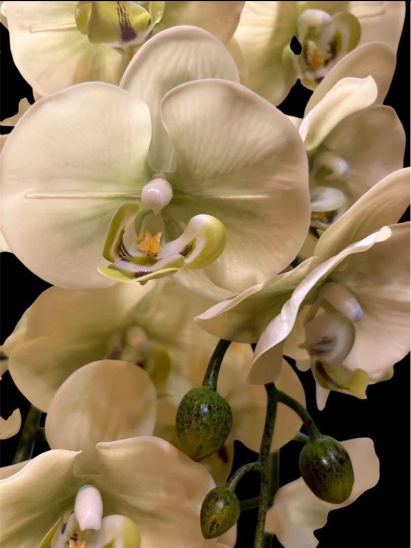 光触媒　人工観葉植物　ウォールグリーン　フェイクグリーン　リアル胡蝶蘭8755