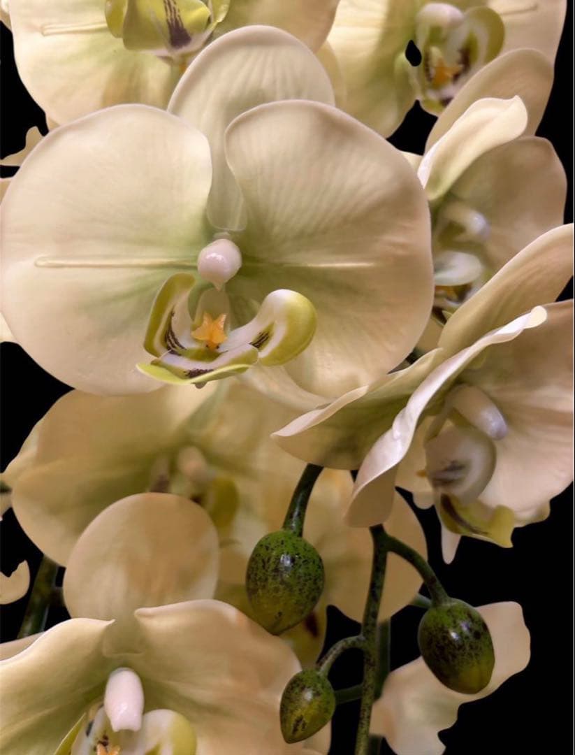 光触媒　人工観葉植物　ウォールグリーン　フェイクグリーン　リアル胡蝶蘭8755