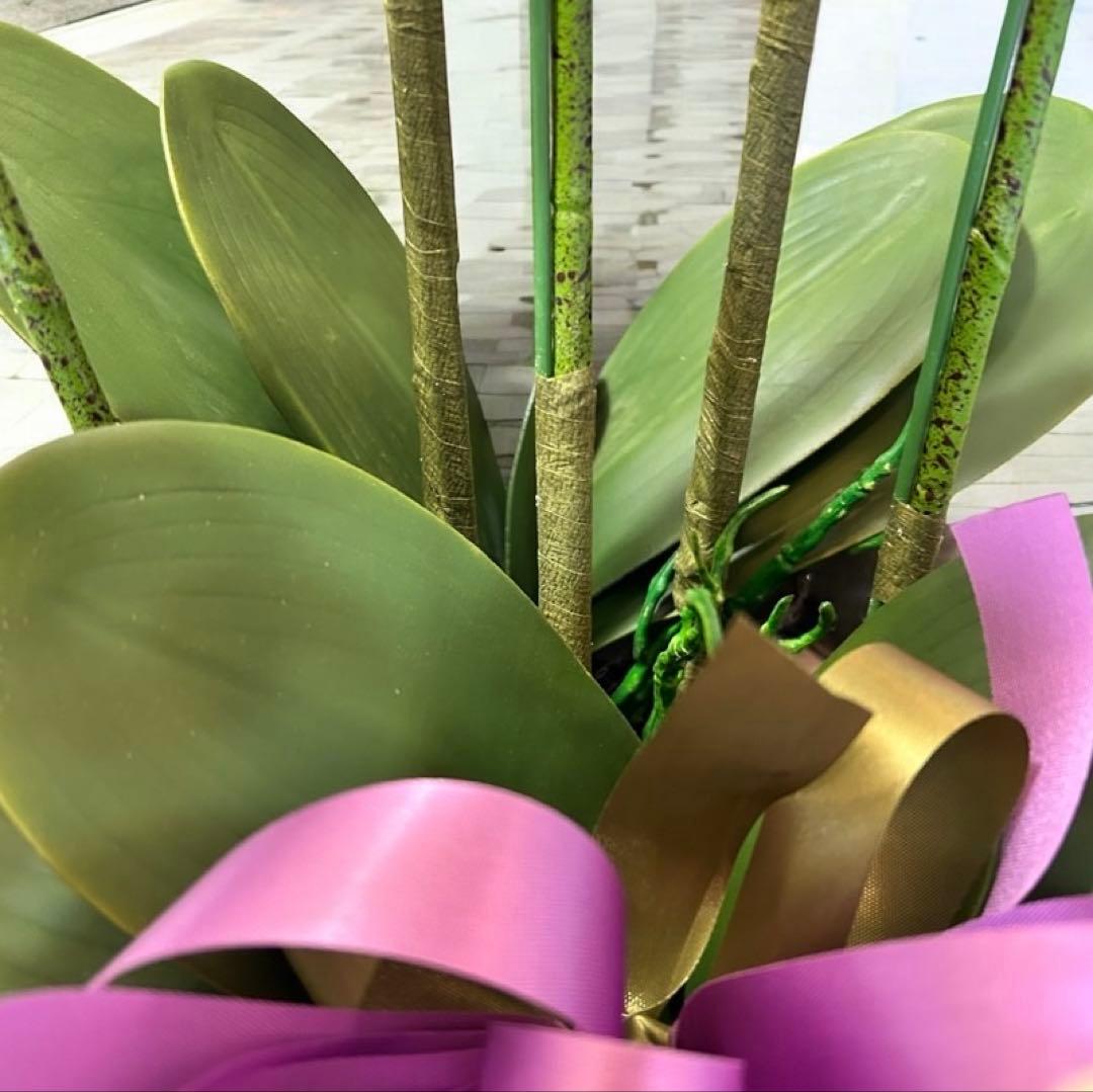 光触媒　人工観葉植物　ウォールグリーン　フェイクグリーン　リアル胡蝶蘭8755