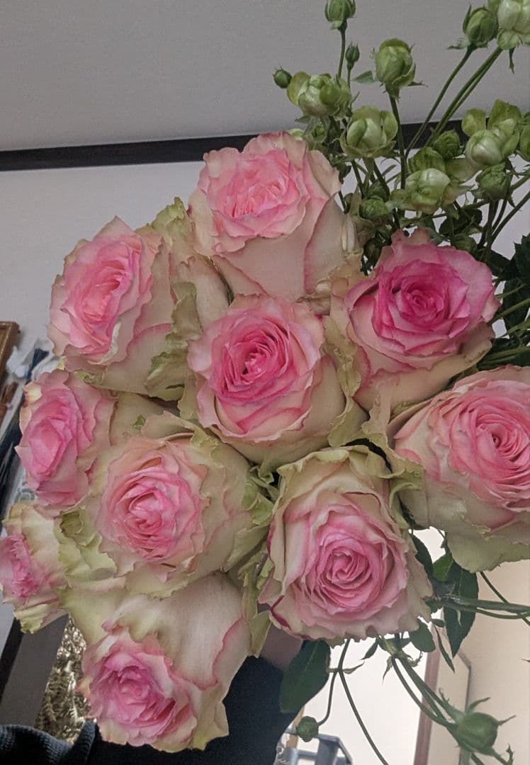 らいおんしっぽ様 リクエスト 4点 まとめ商品 2点追加全部で6点