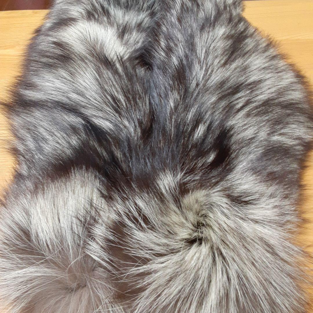 サガホックス　ミックス