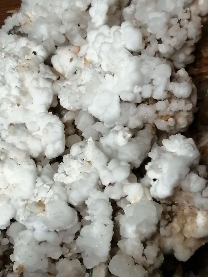 鍾乳石(アラゴナイト)　12.7kg ーtot026