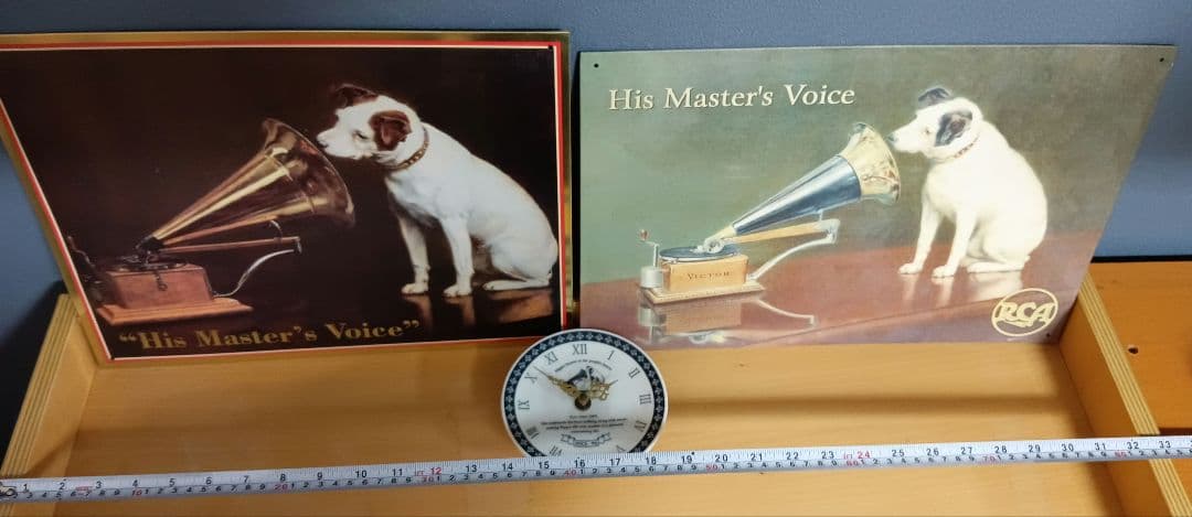 ビクター ニッパー犬 ニッパー　特大44cm～ 7匹 手渡し希望 千葉県習志野市