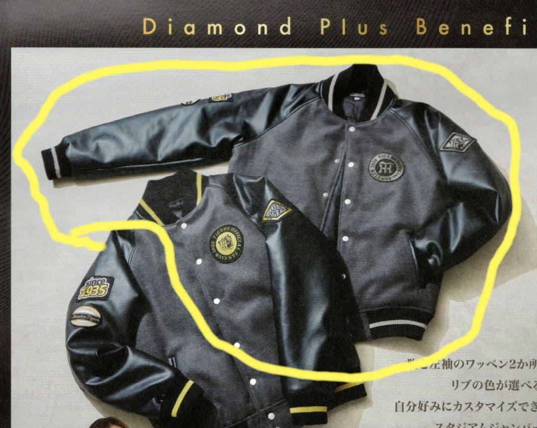 阪神タイガース　ダイヤモンドプラス特典　セミオーダースタジアムジャンパー