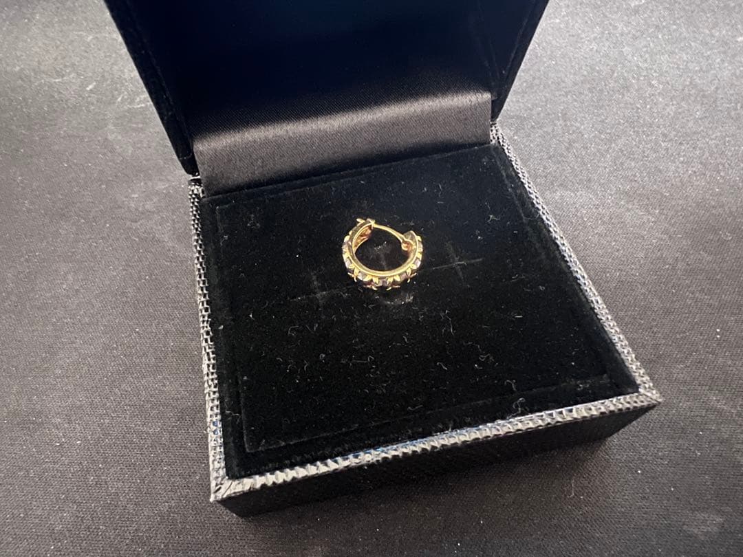 SJX 18K ブラックダイヤ ピアス 片耳 希少モデル 箱・証明書付き