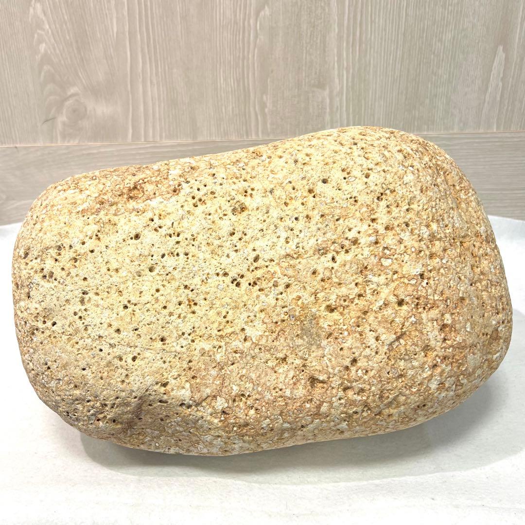 姫川薬石 置物 約20cm ホルミシス効果 健康 ラジウム がん予防 免疫力