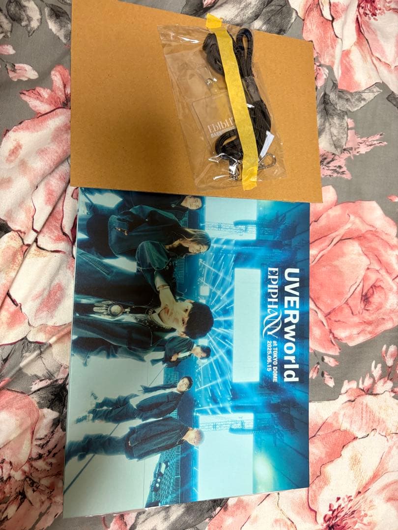 UVERworld EPIPHANY at TOKYO DOME ライブDVD