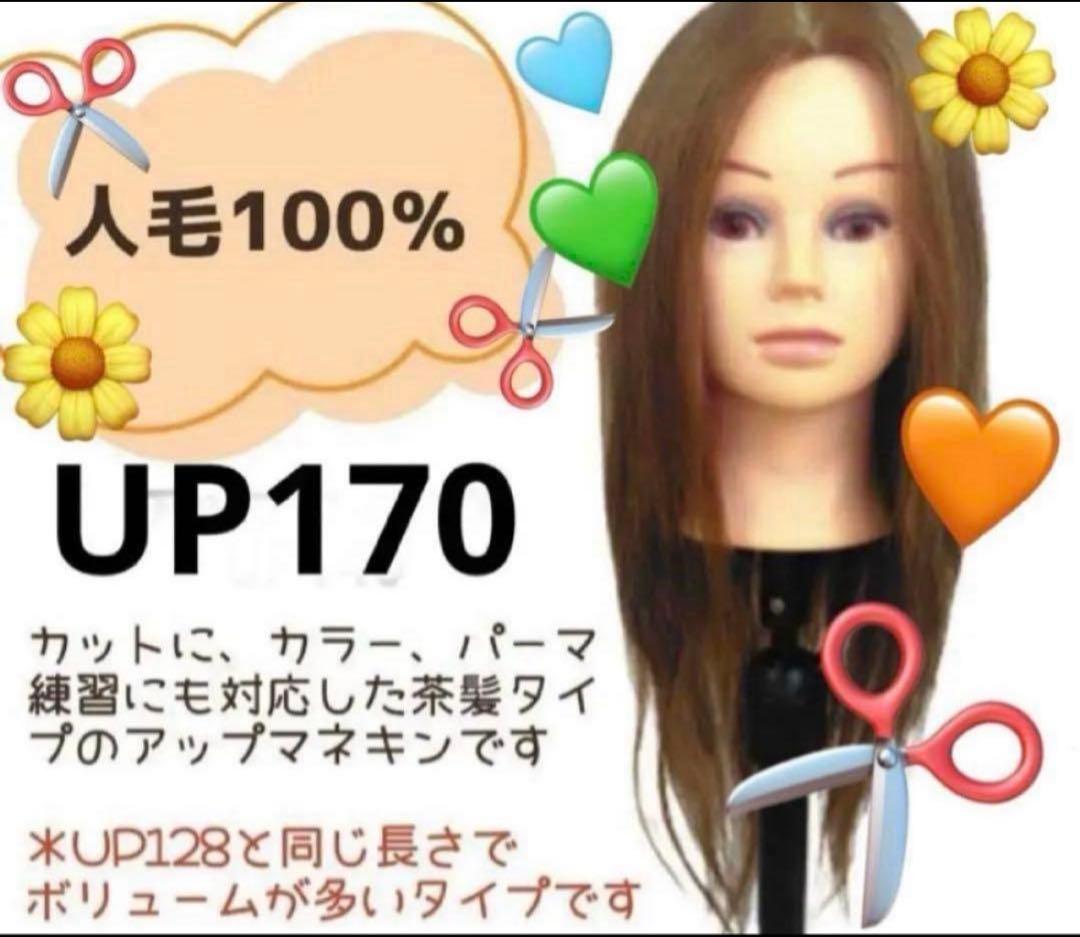 UP170 アップウィッグ 人毛100% 茶髪　美品のため少しお高めです！