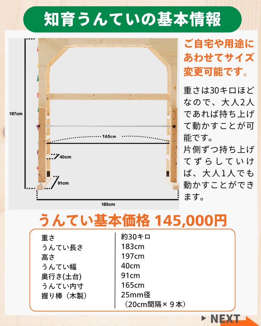 知育うんてい うんてい　雲梯　ボルダリング　正規品