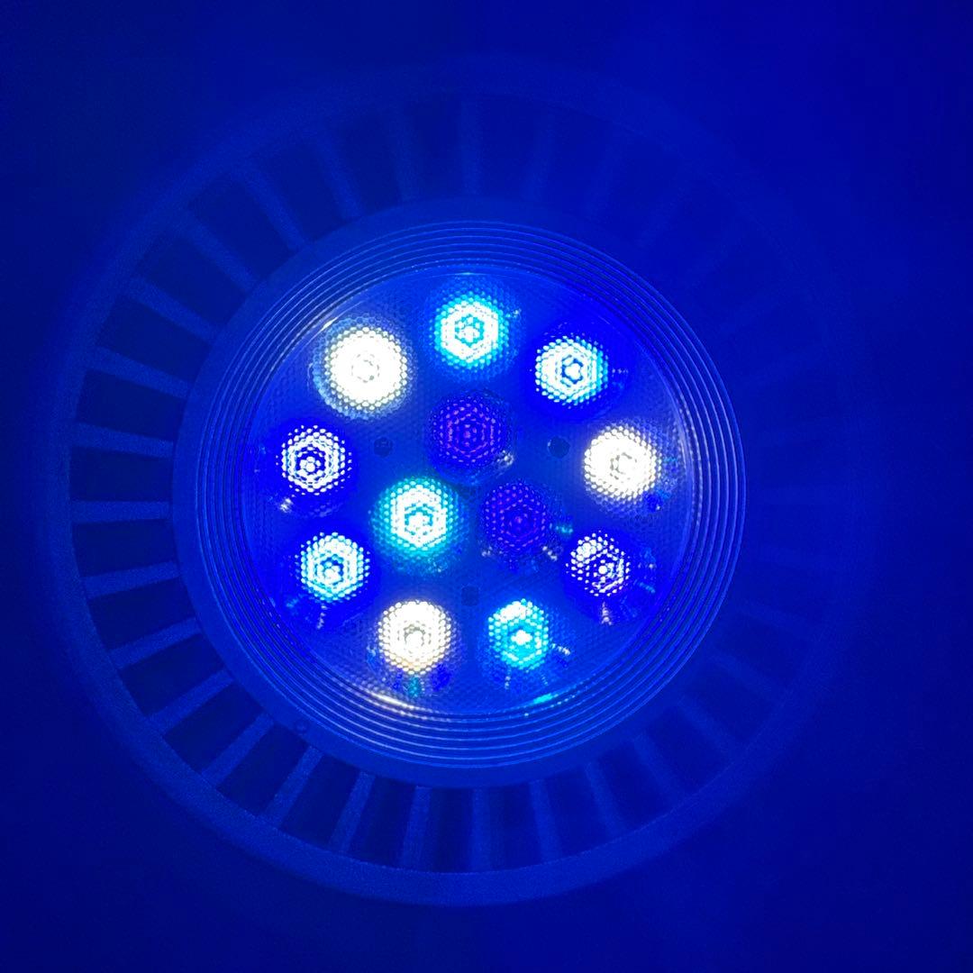 GrassyLeDiorX122 RF E26ソケットライト