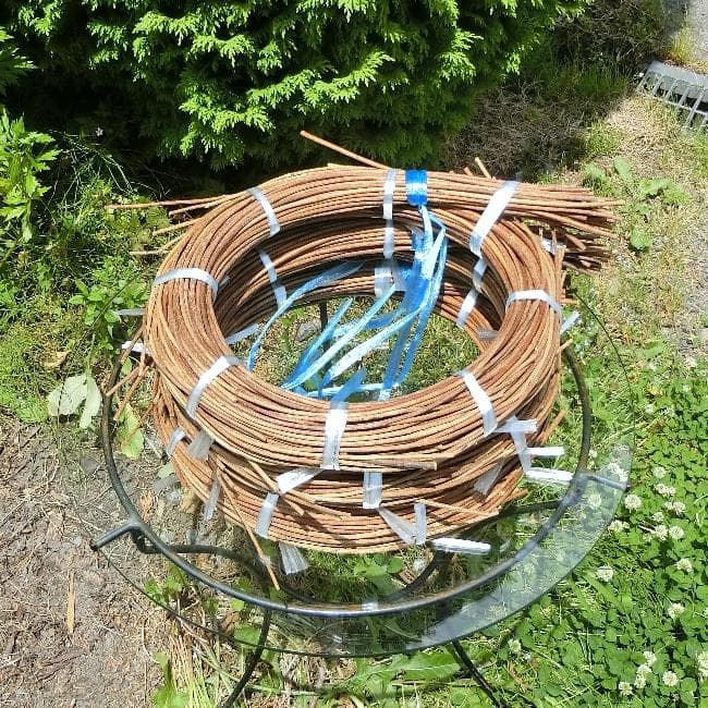 なつ（╹◡╹）♡ 青森県岩木山採取　あけび蔓　150cm～　3kg　太い蔓