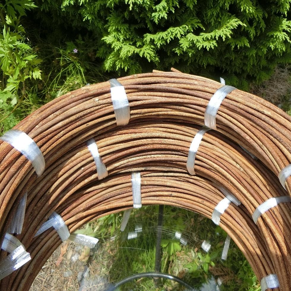 なつ（╹◡╹）♡ 青森県岩木山採取　あけび蔓　150cm～　3kg　太い蔓