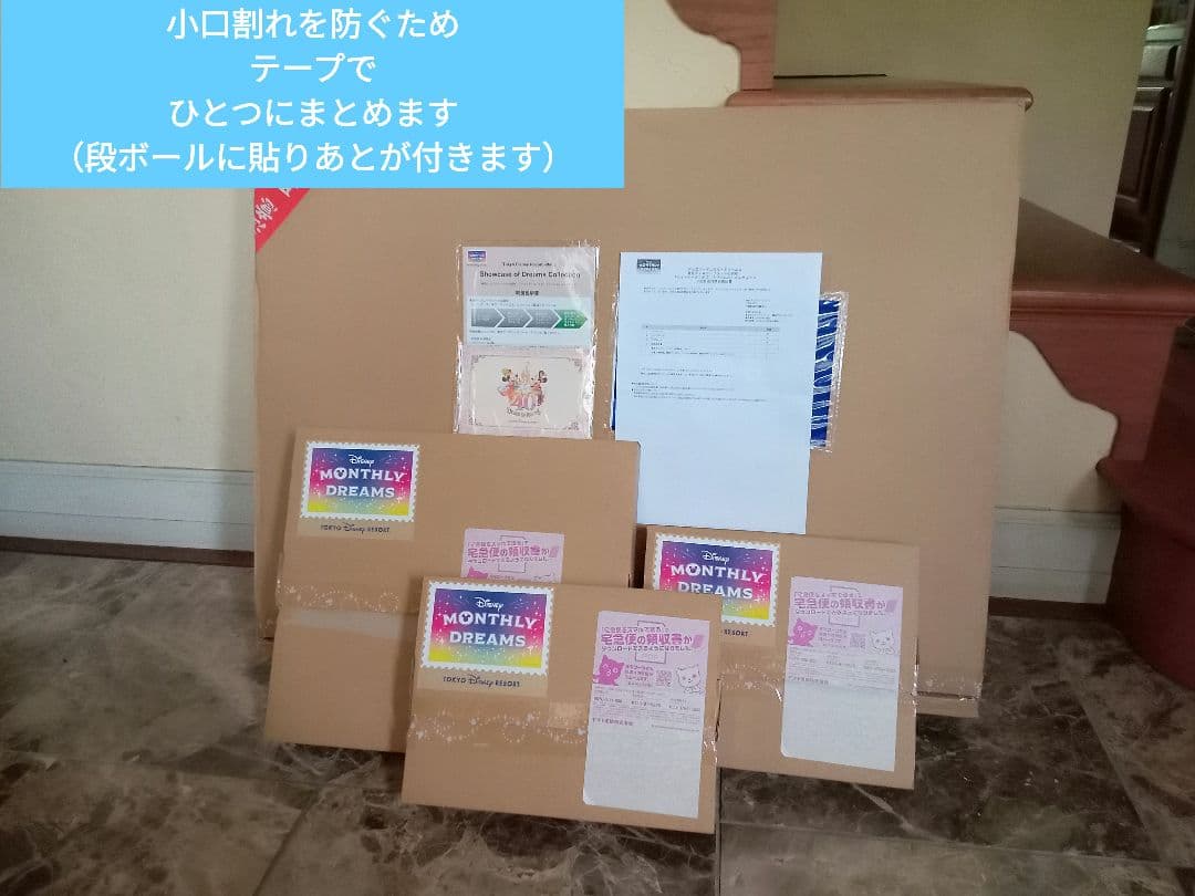 【終売品】東京ディズニーリゾート40周年記念『ショーケース・オブ・ドリームズ』