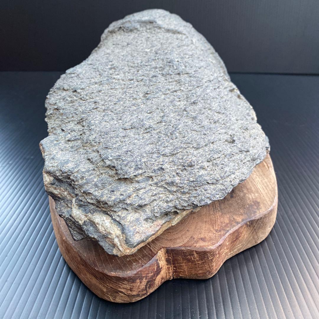 【日本三大銘石佐治石】 古代石 採石禁止石 鯨形 珍品