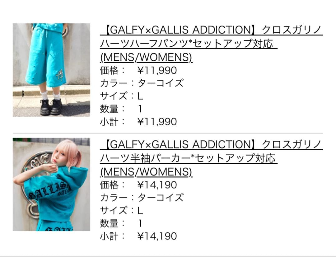 ガルフィーCALIFORNIA ターコイズ パーカー上下セット