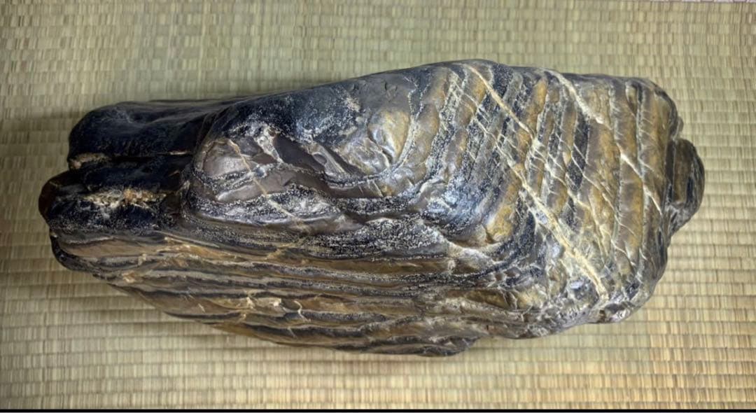 4334 瀬田川飴虎石 ウブ 横50(cm) 約32kg 自然石 鑑賞石