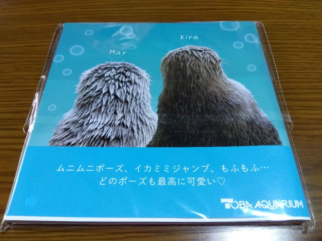 ラッコのメイとキラ　鳥羽水族館オリジナル写真集