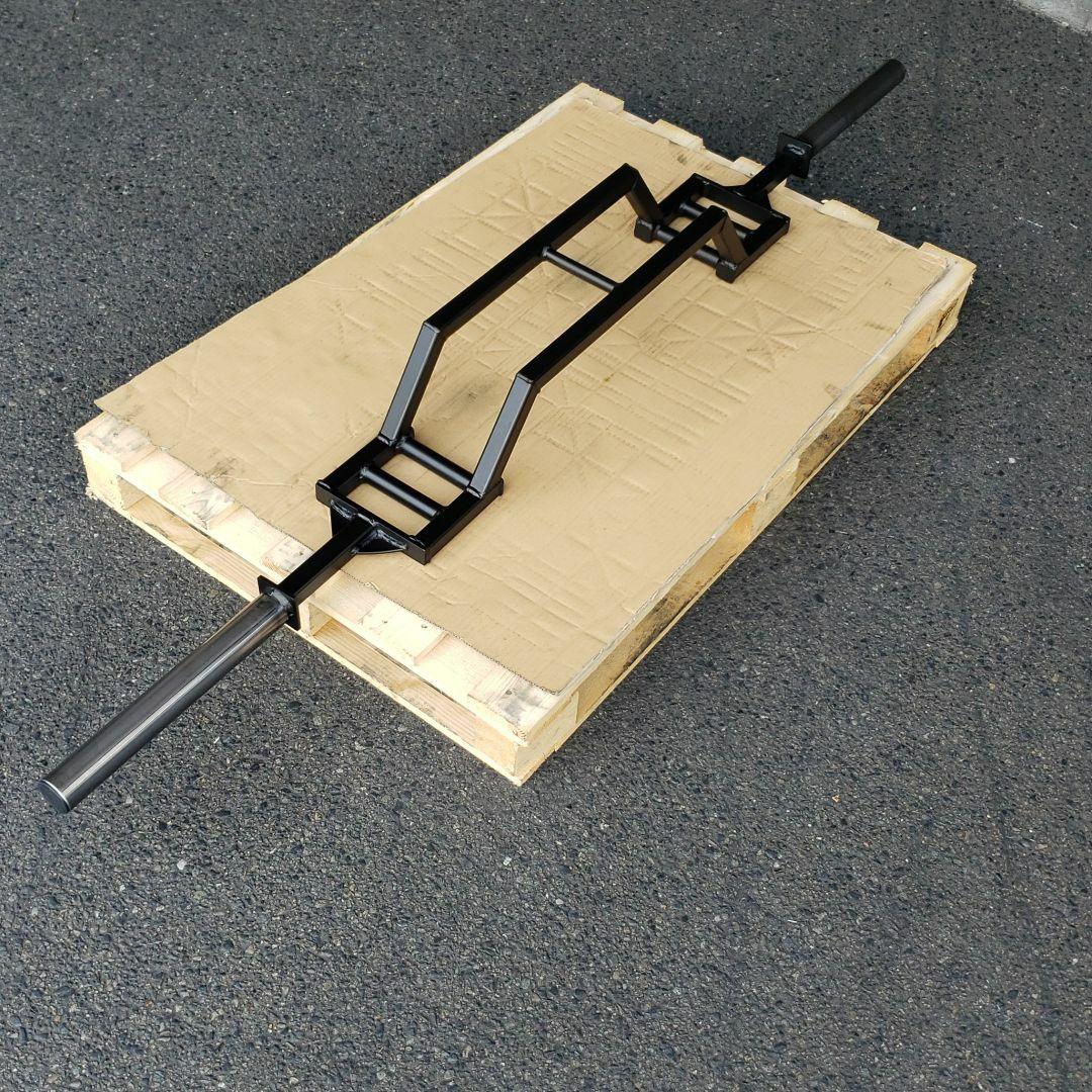 バードパラレルバー、スイスバー５０mmトレーニングフイットネスオリンピックバー