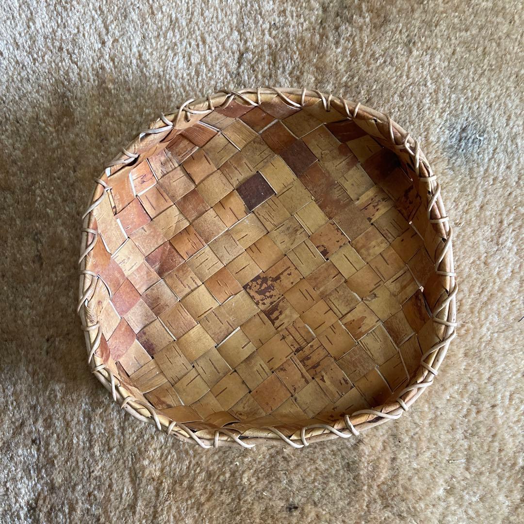 白樺　バスケット　根かがり