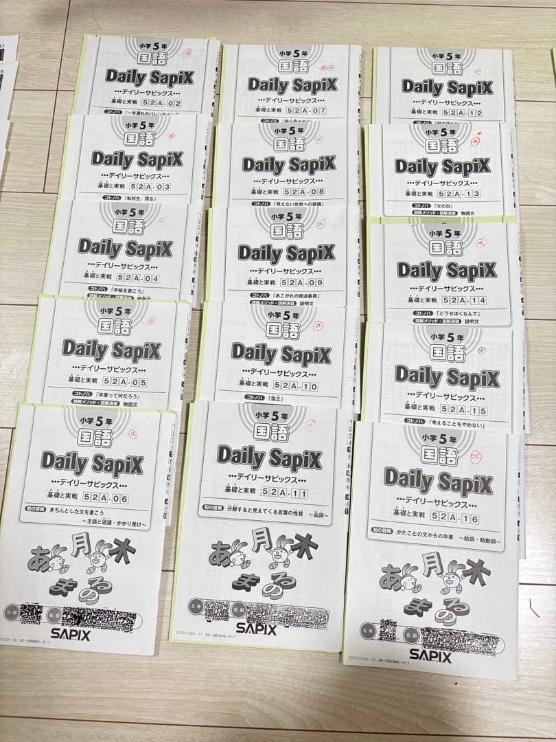 Sapix 五年　国語　フルセット