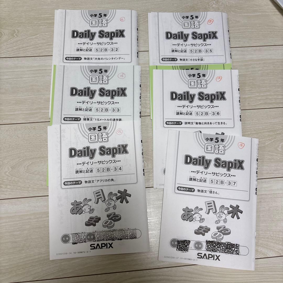 Sapix 五年　国語　フルセット