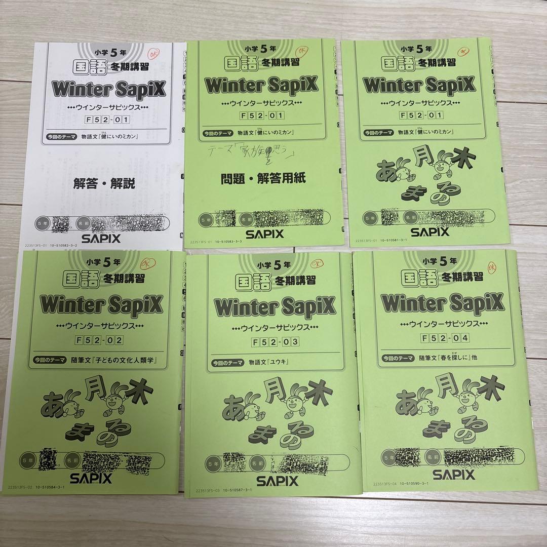 Sapix 五年　国語　フルセット