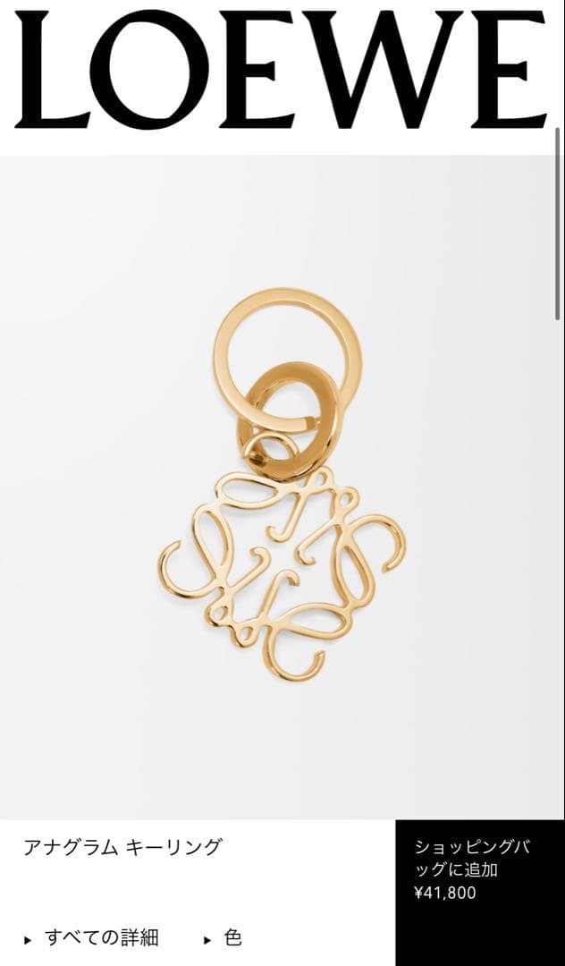 【新品未使用】LOEWE アナグラムキーホルダー　定価41800