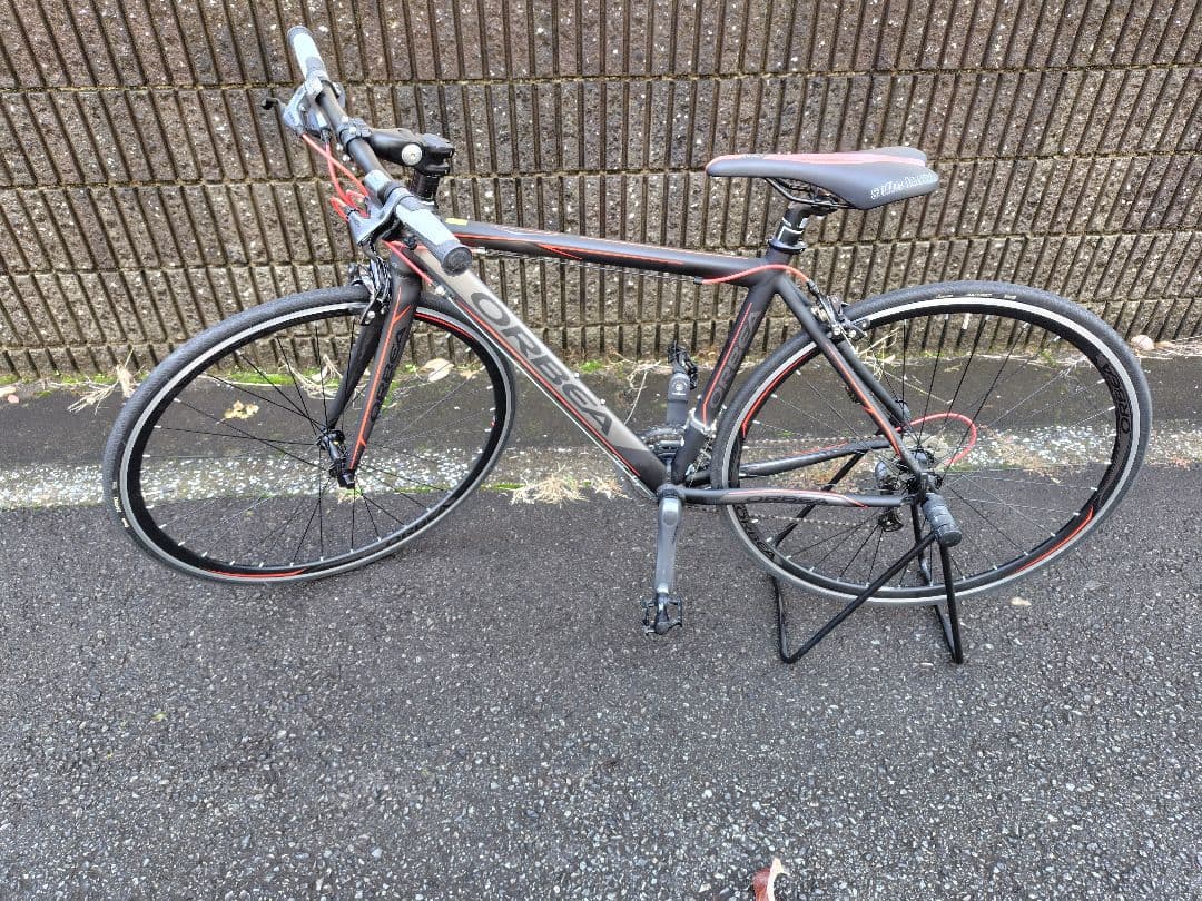 オルベア アクア グレー/レッド