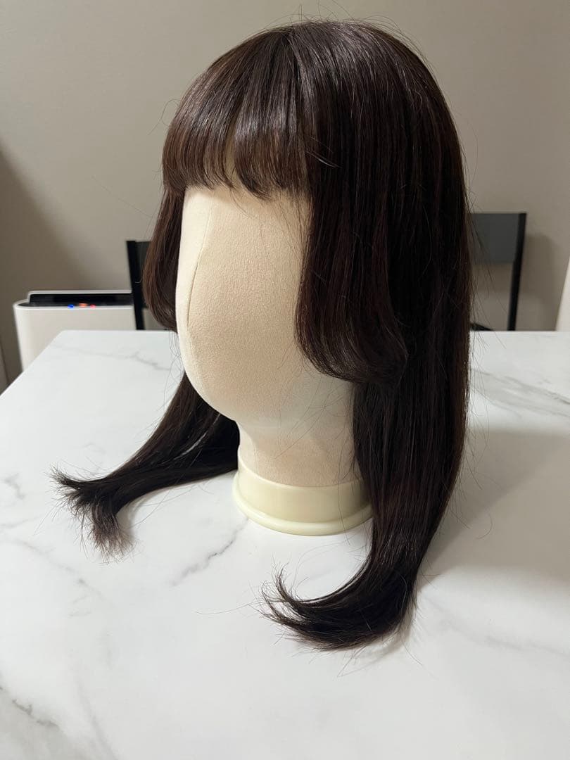 最終値下げ⟡.·100%人毛フルウィッグ 約50cm 前髪あり ダークブラウン