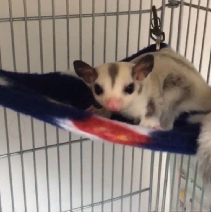 三角コーナーハンモック(SMILEY  FACE)  夏仕様  2枚組