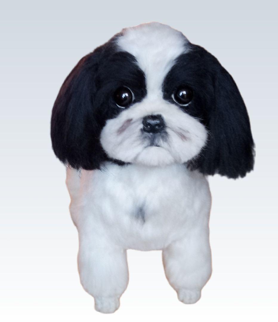 愛犬さんの羊毛フェルトオーダー・kenjistar様ご確認専用