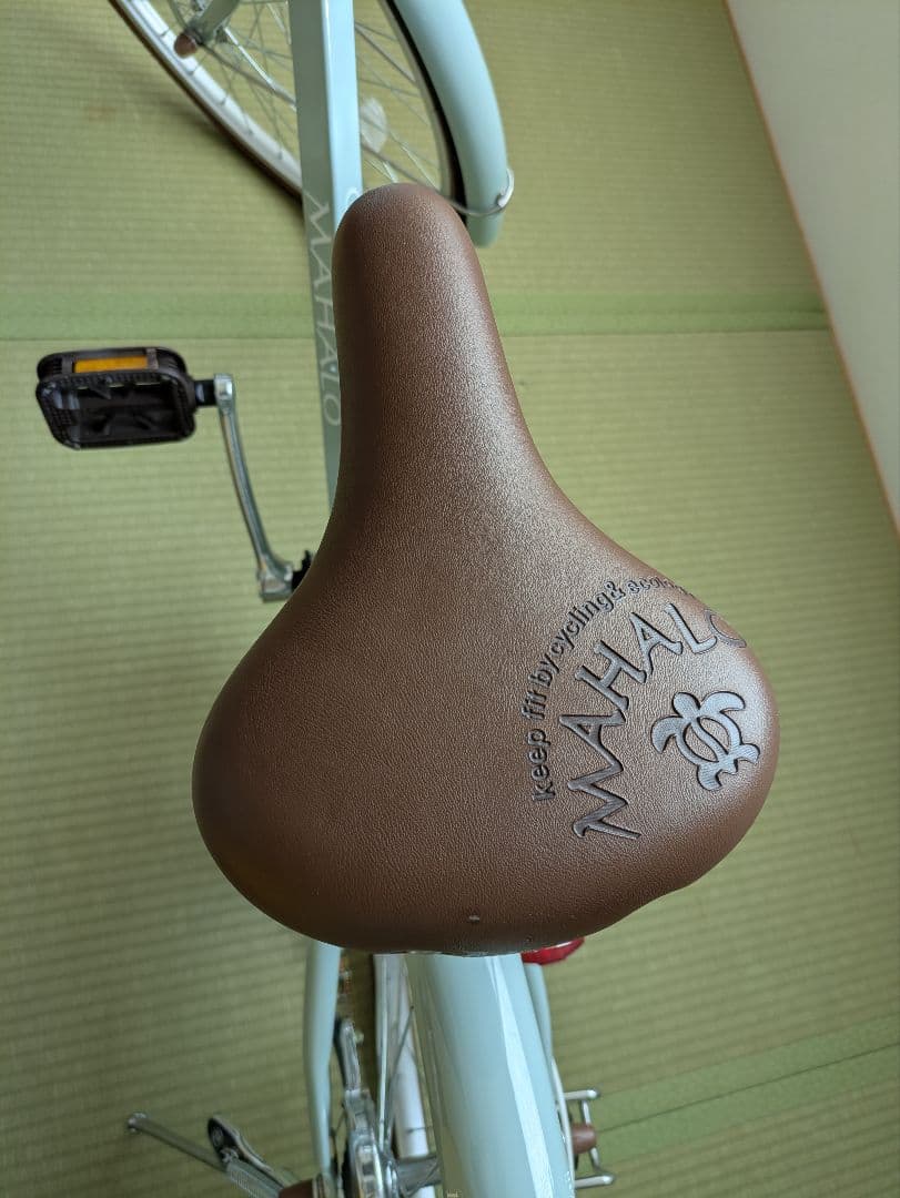 【ありちゃん】子供用自転車 ミントグリーン　マハロジュニア