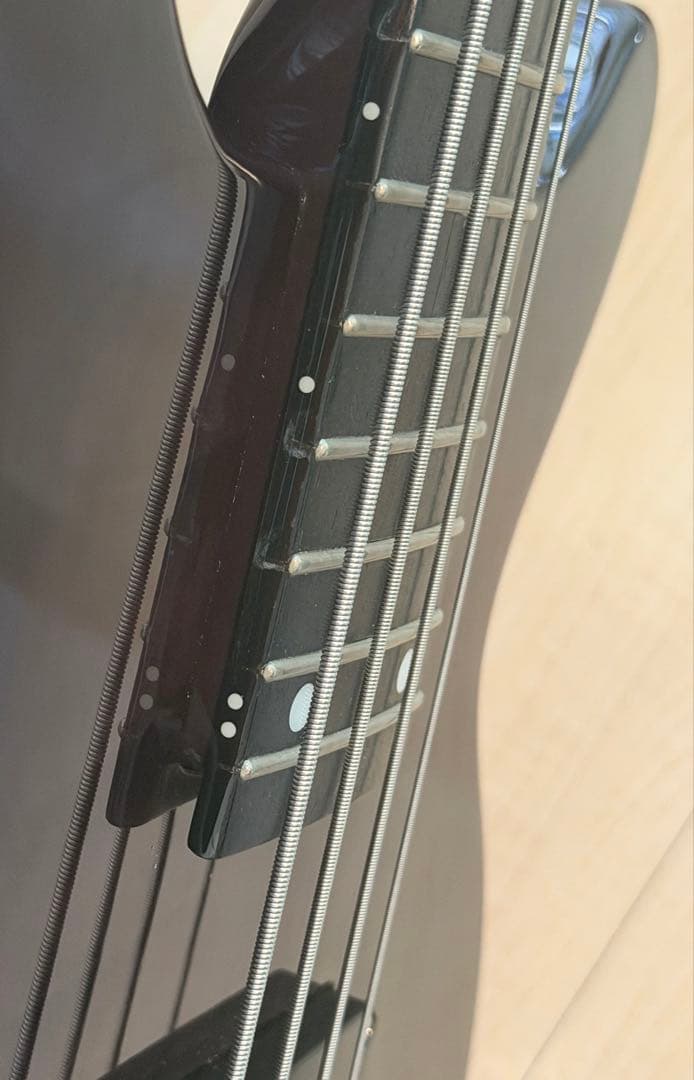 EDWARDS E-J-140 Fire Black／LUNA SEA／Jモデル