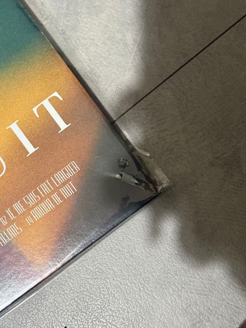 夜行秘密 indigo la End 【アナログ盤】