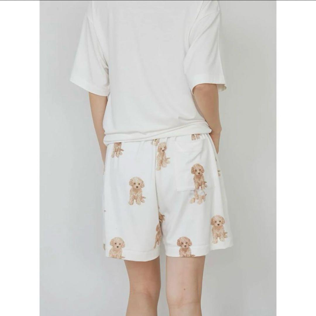 新品未使用 未開封 トイプードル ワンポイントTシャツ 総柄 ショートパンツ F