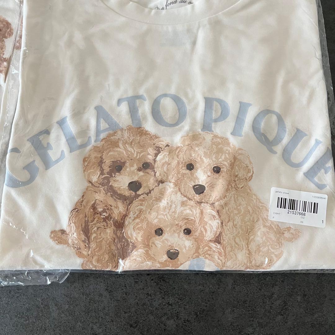 新品未使用 未開封 トイプードル ワンポイントTシャツ 総柄 ショートパンツ F