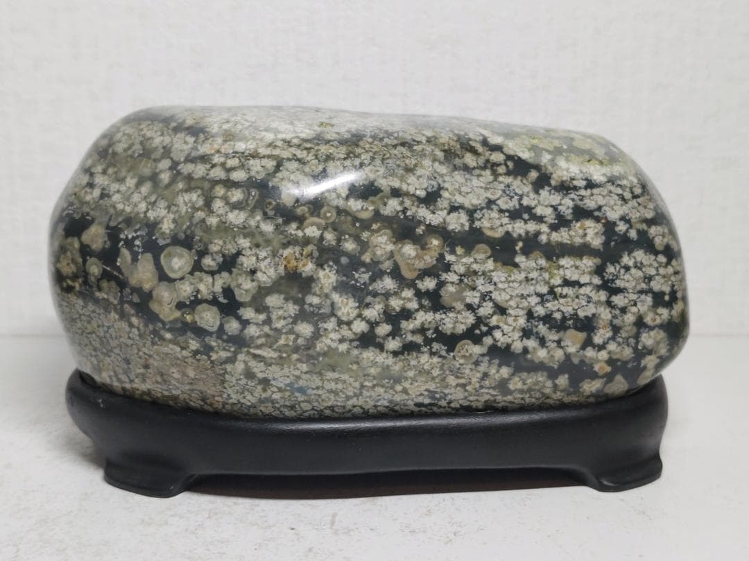 花紋石 1.8kg 錦石 菊花石 紋石 鑑賞石 原石 自然石 天然石 水石